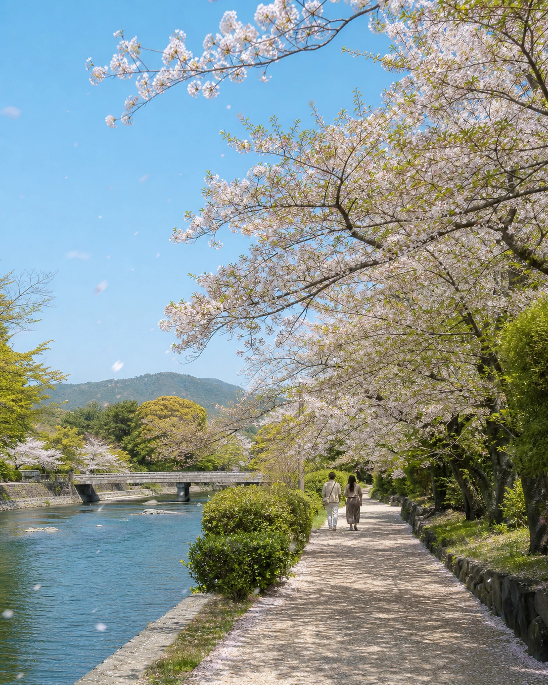 旅はこのように静かに整うべきです